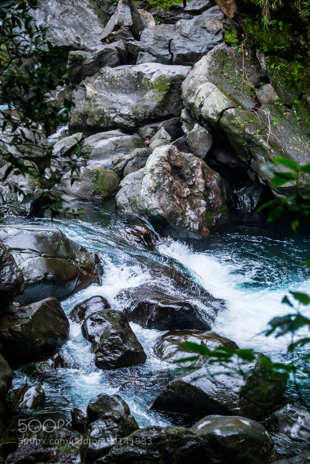 Canon EOS 6D sample photo. Untitled photography