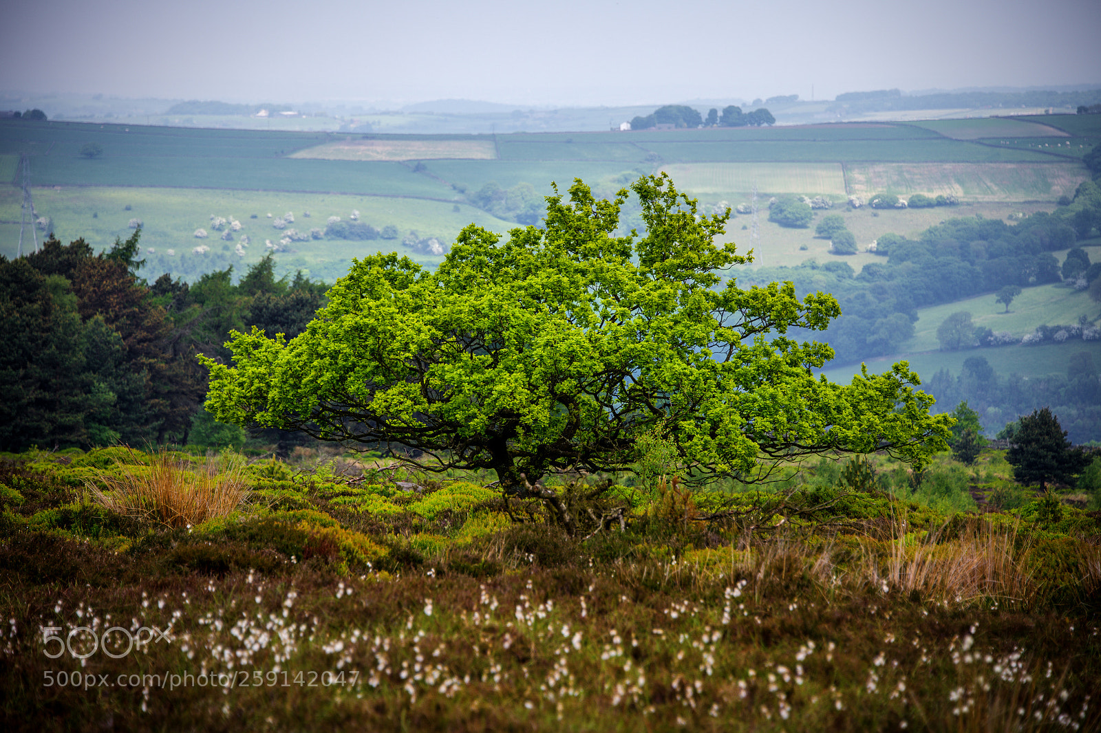 Nikon D850 sample photo. Peak district photography