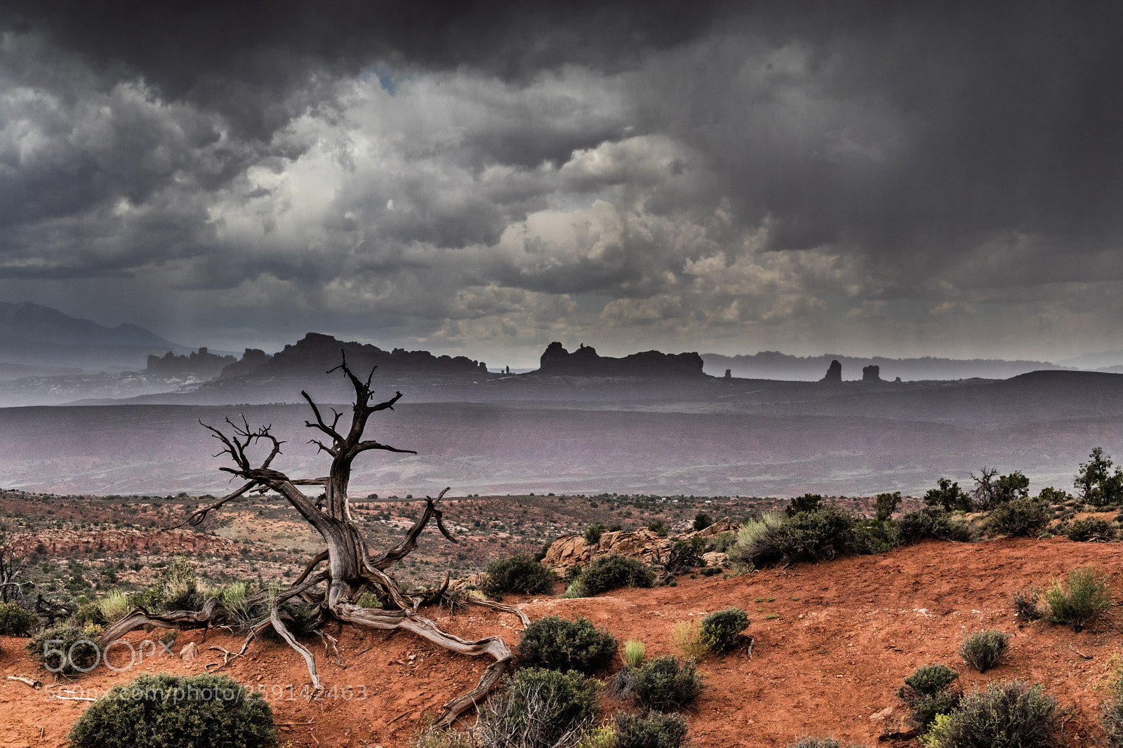 Canon EOS 80D sample photo. Desert storm photography