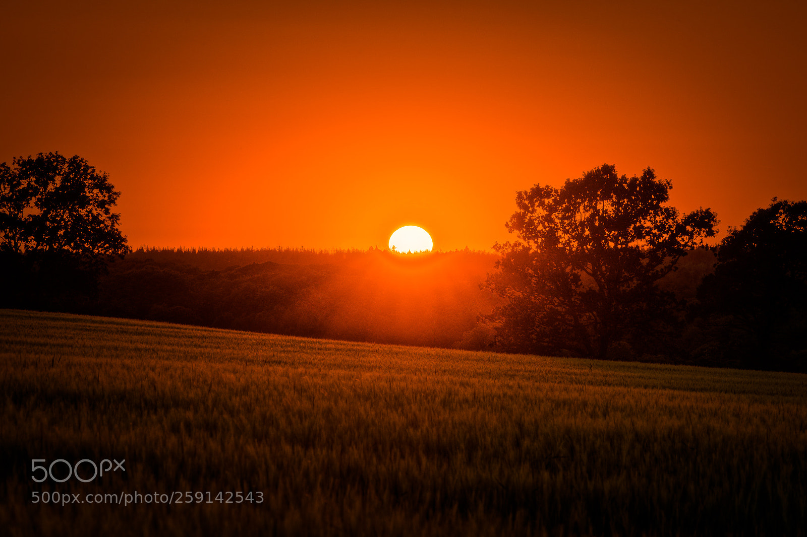 Canon EOS 5D Mark IV sample photo. Power of the sun photography