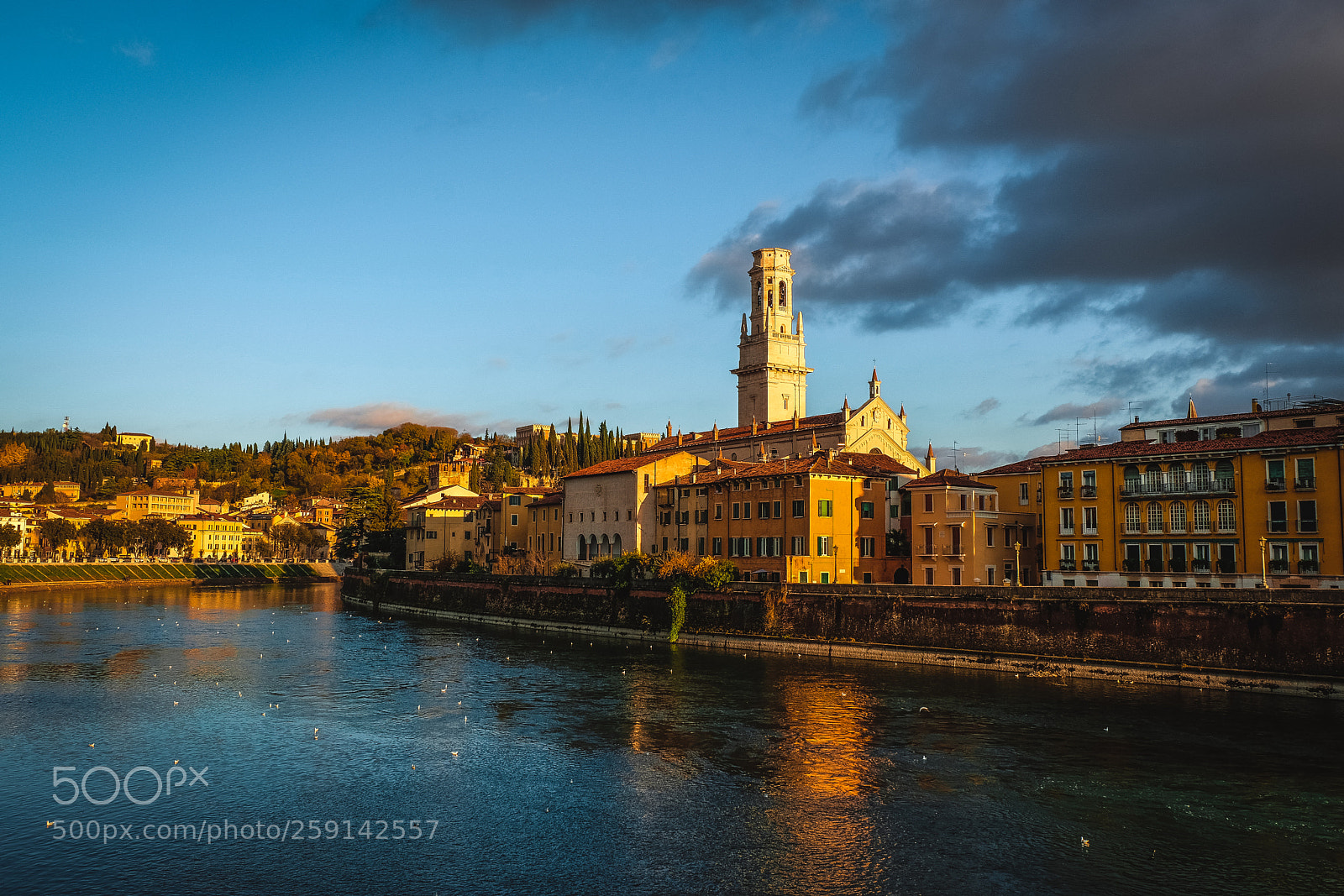 Fujifilm X-T20 sample photo. View of verona at photography