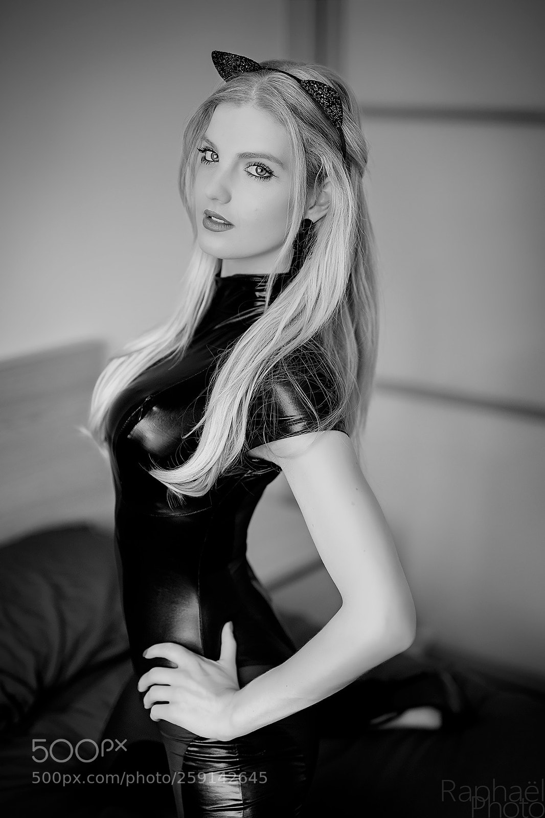 Canon EOS 5D Mark IV sample photo. Le chat photography