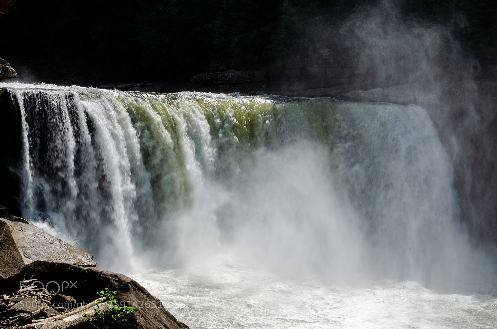 Nikon D5100 sample photo. Cumberland falls photography