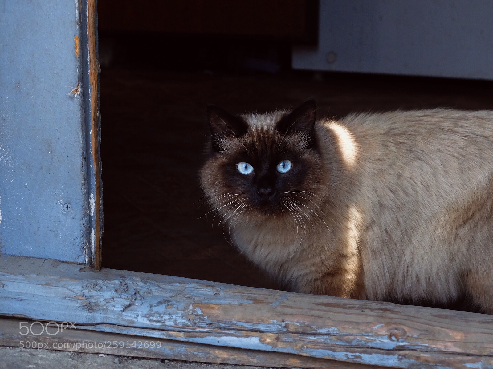 Fujifilm X30 sample photo. Kuzya  photography