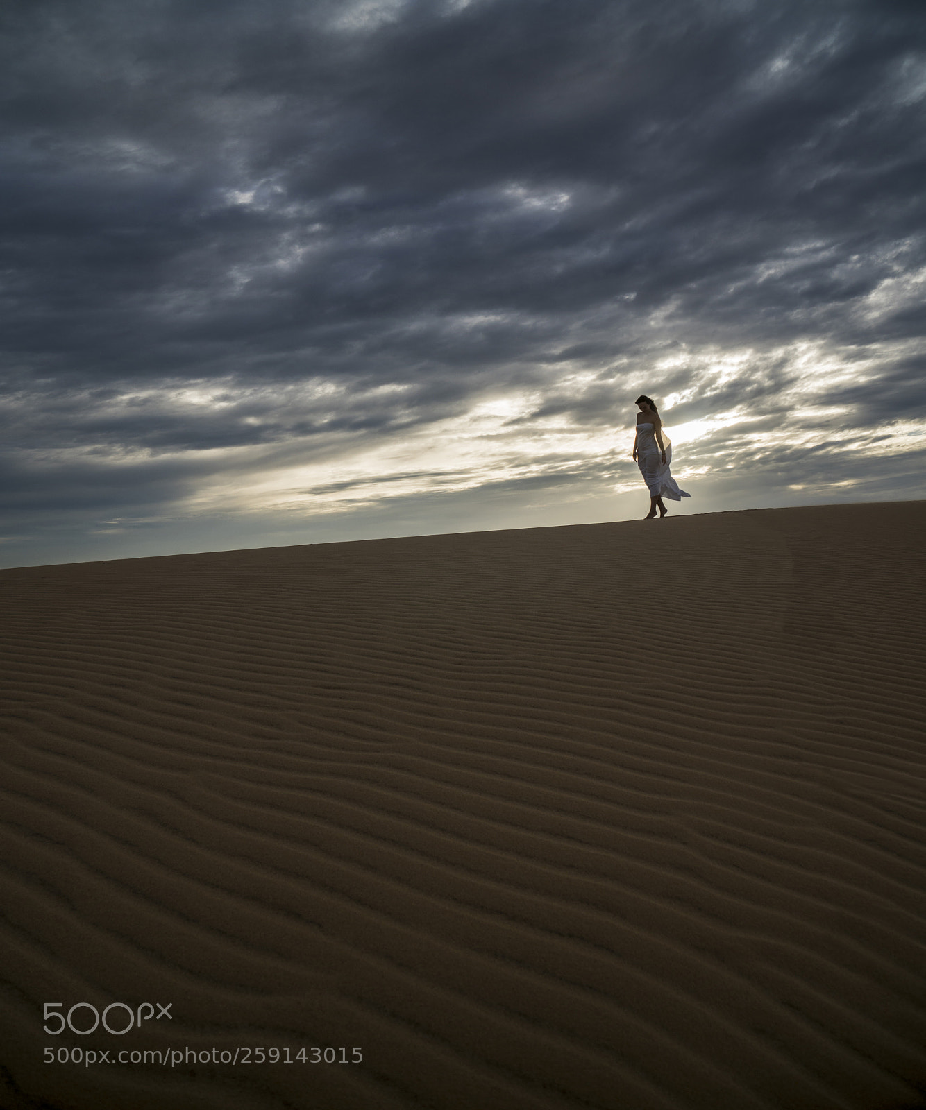Sony a6300 sample photo. Desert rose series photography