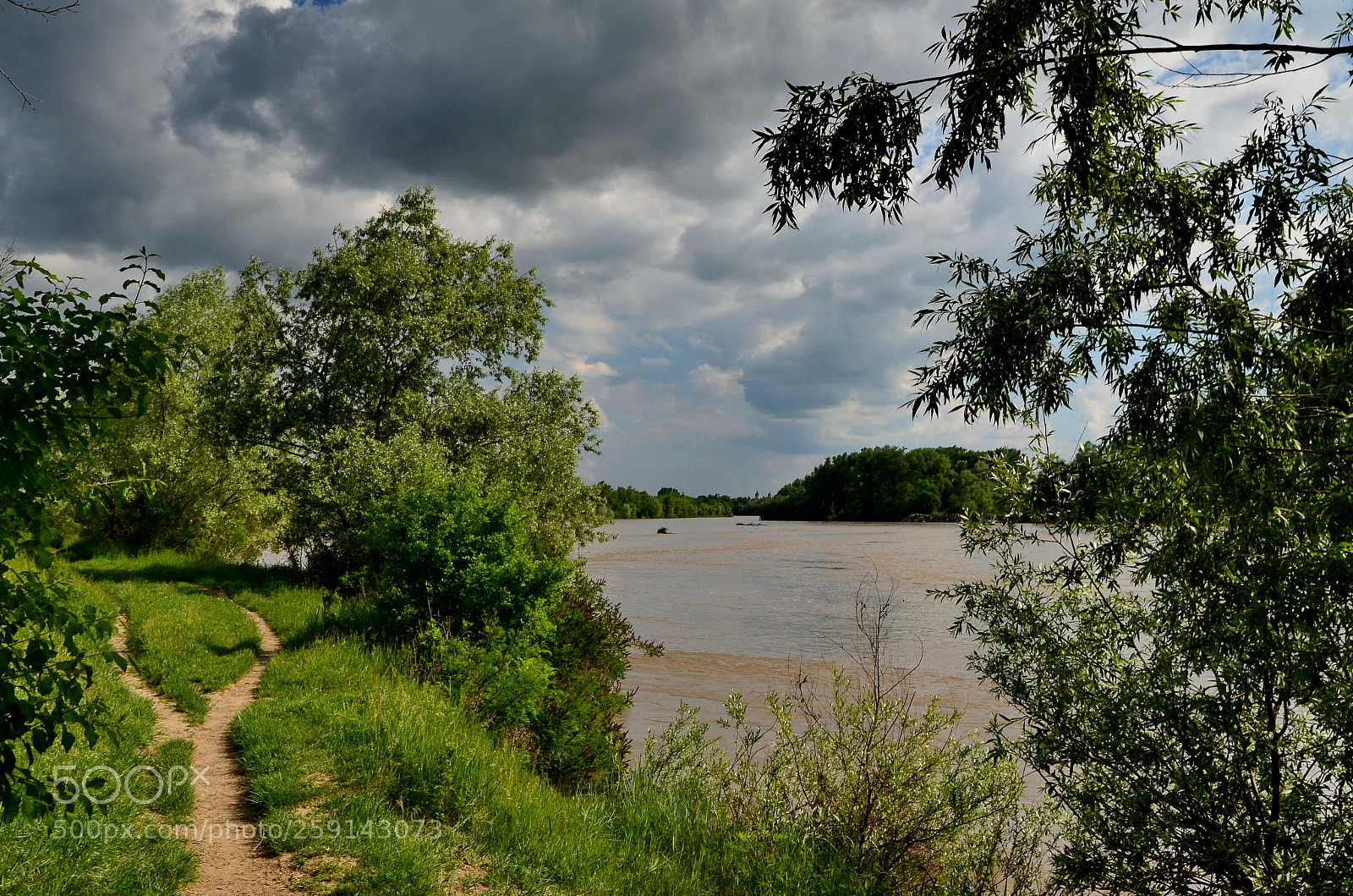 Nikon D5100 sample photo. Untitled photography