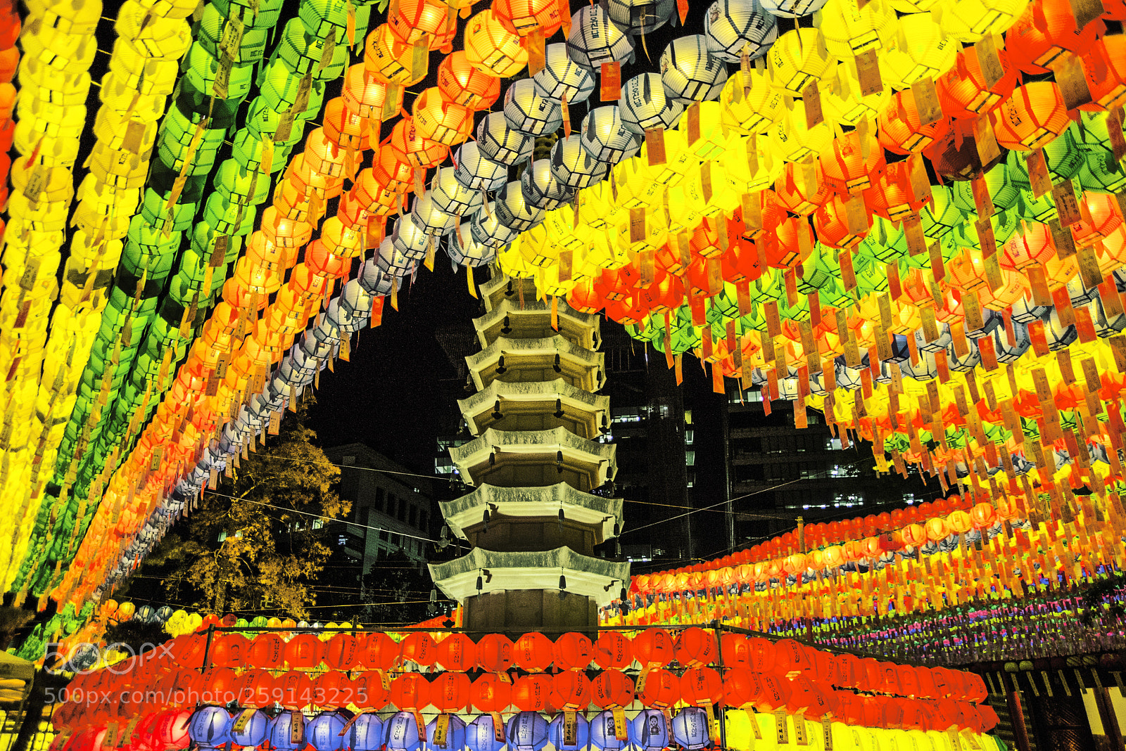 Nikon D810 sample photo. Landscape of buddha's day photography