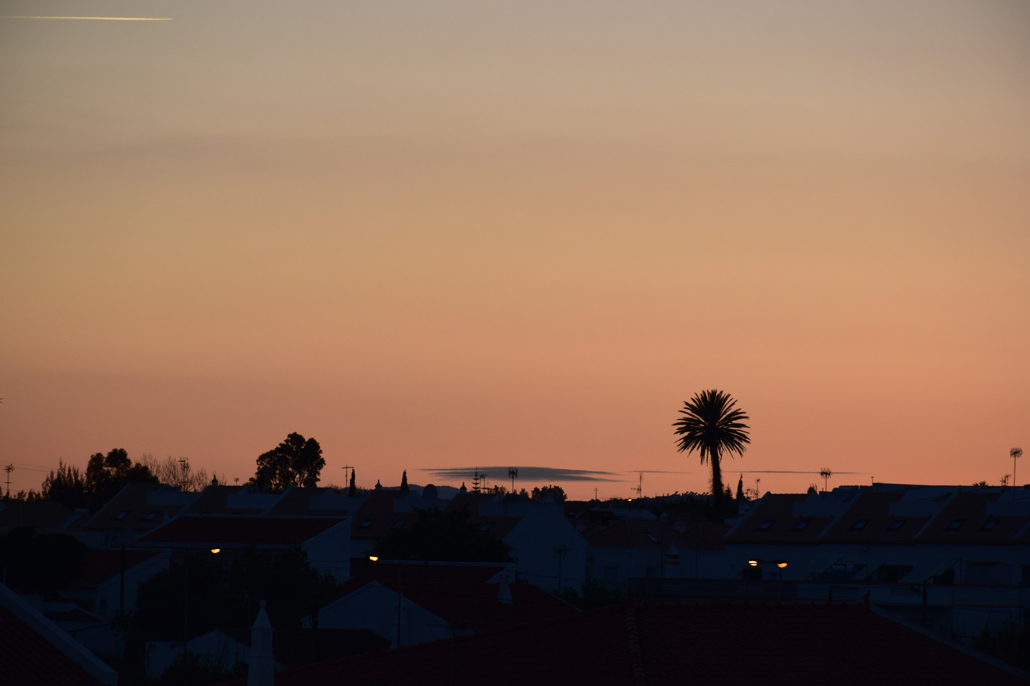 Nikon D5300 sample photo. Hometown photography