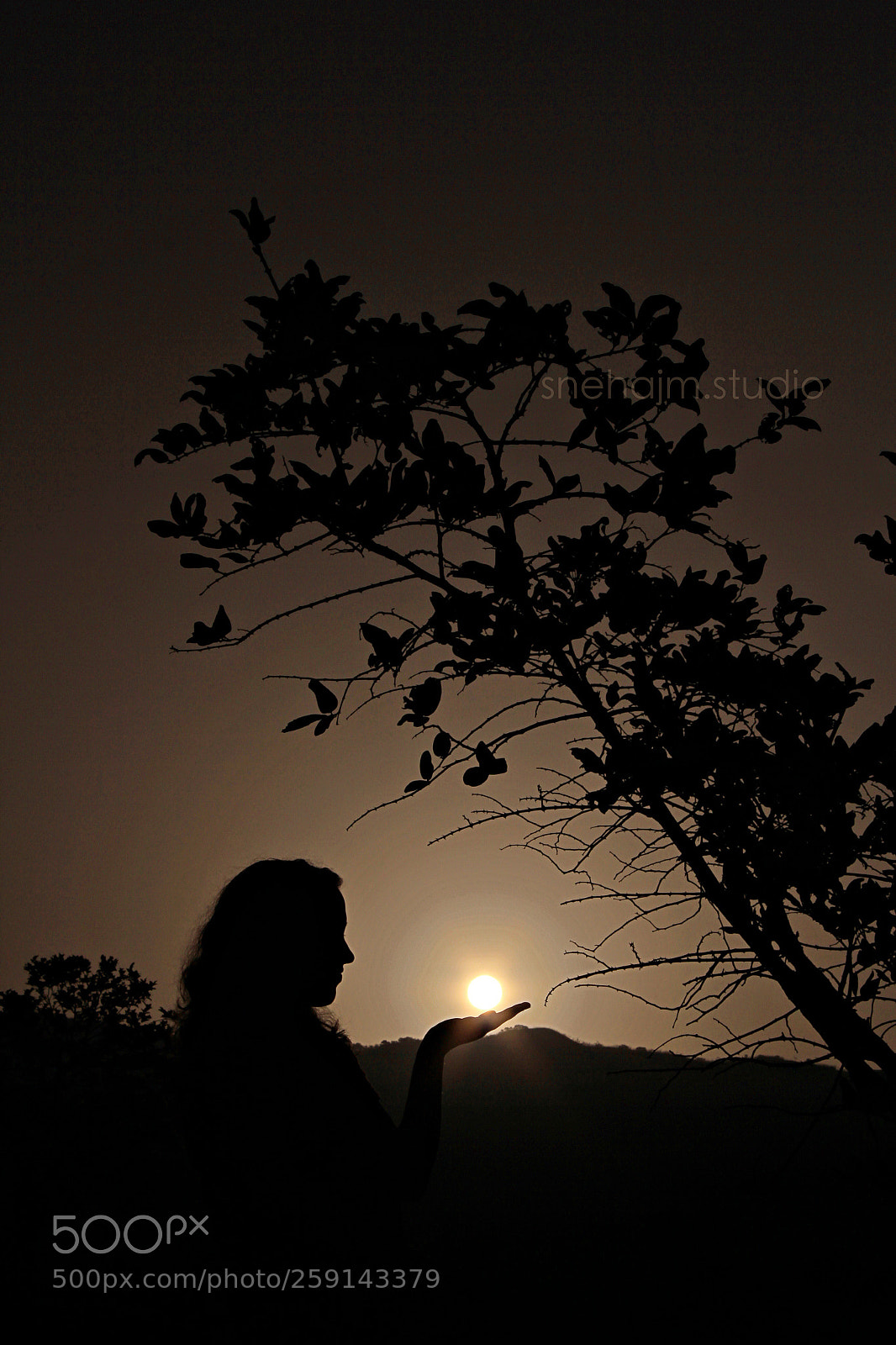 Canon EOS 550D (EOS Rebel T2i / EOS Kiss X4) sample photo. Rise above the sun photography