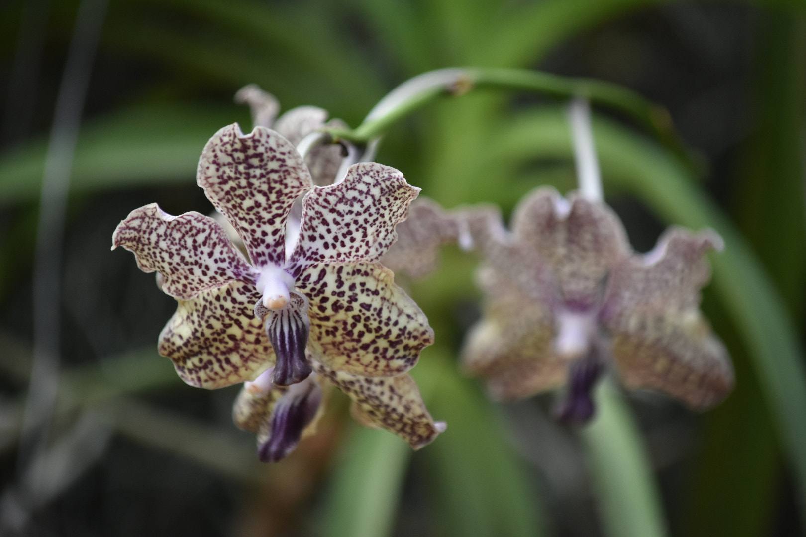 Nikon D3400 sample photo