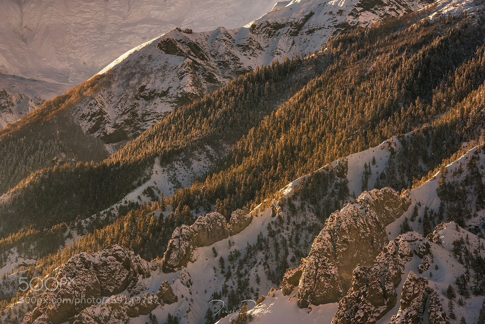 Nikon D750 sample photo. Sunshine through the frozen photography