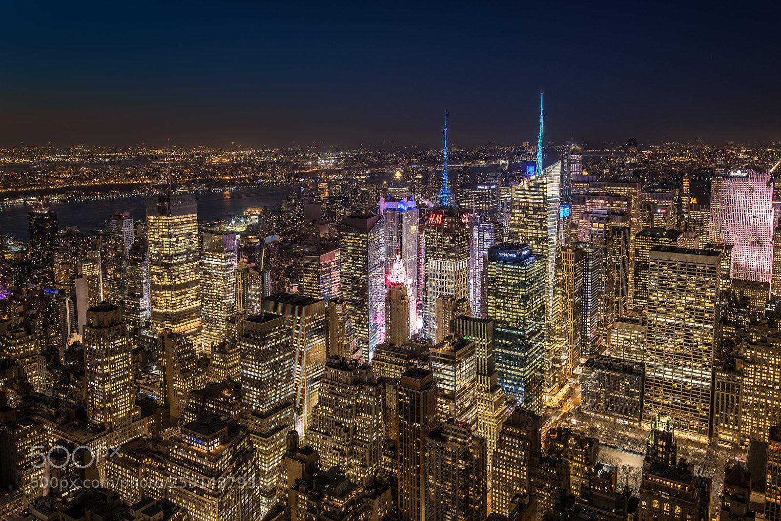 Nikon D850 sample photo. Concrete jungle photography