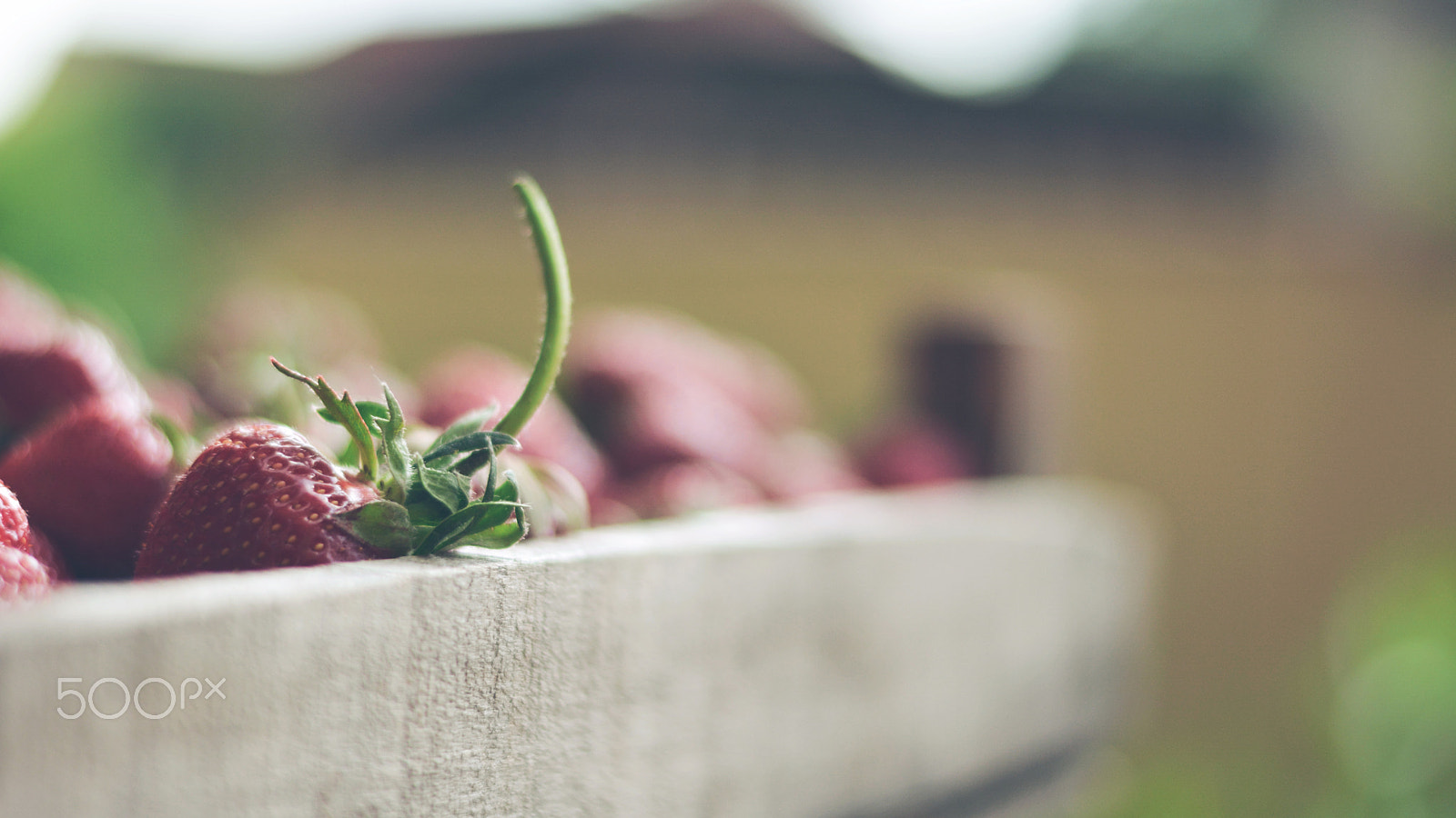 Nikon D5200 + Nikon AF-S Nikkor 50mm F1.8G sample photo. Strawberry1 photography