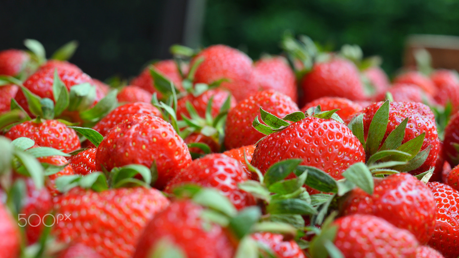 Nikon D5200 + Nikon AF-S Nikkor 50mm F1.8G sample photo. Strawberry2 photography