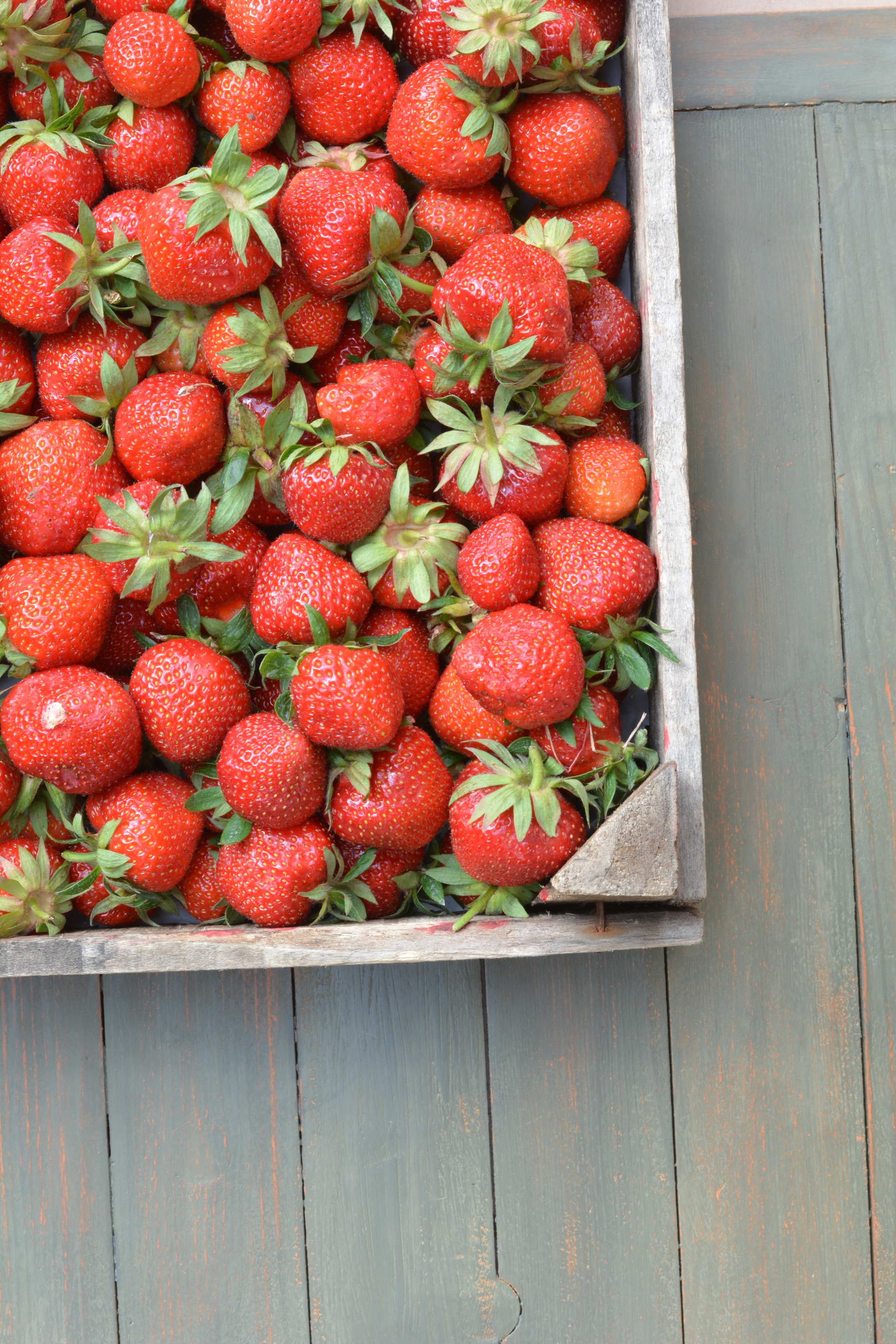 Nikon D5200 + Nikon AF-S Nikkor 50mm F1.8G sample photo. Strawberry3 photography