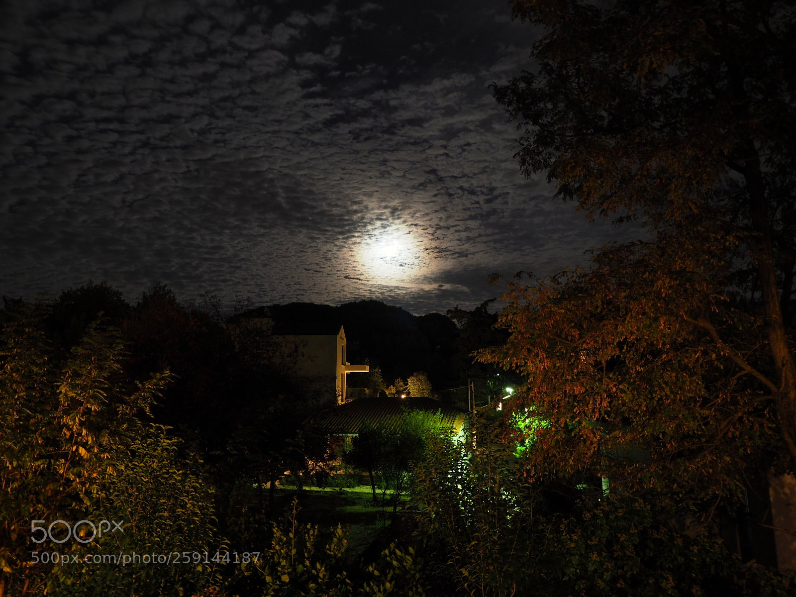 Olympus OM-D E-M5 II sample photo. Untitled photography