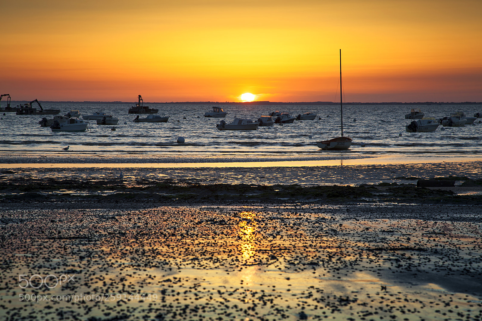 Canon EOS 5D Mark II sample photo. Bretagne photography