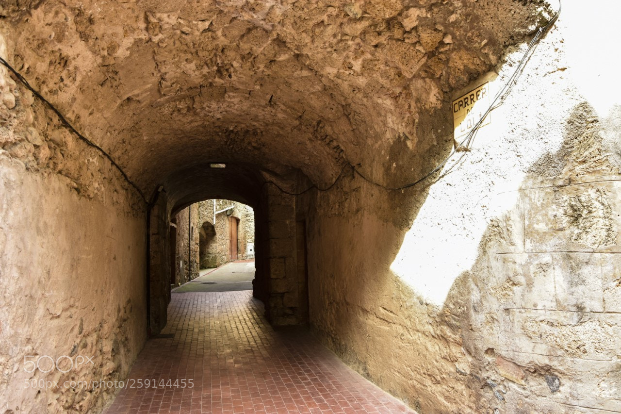 Nikon D7200 sample photo. Tunel photography