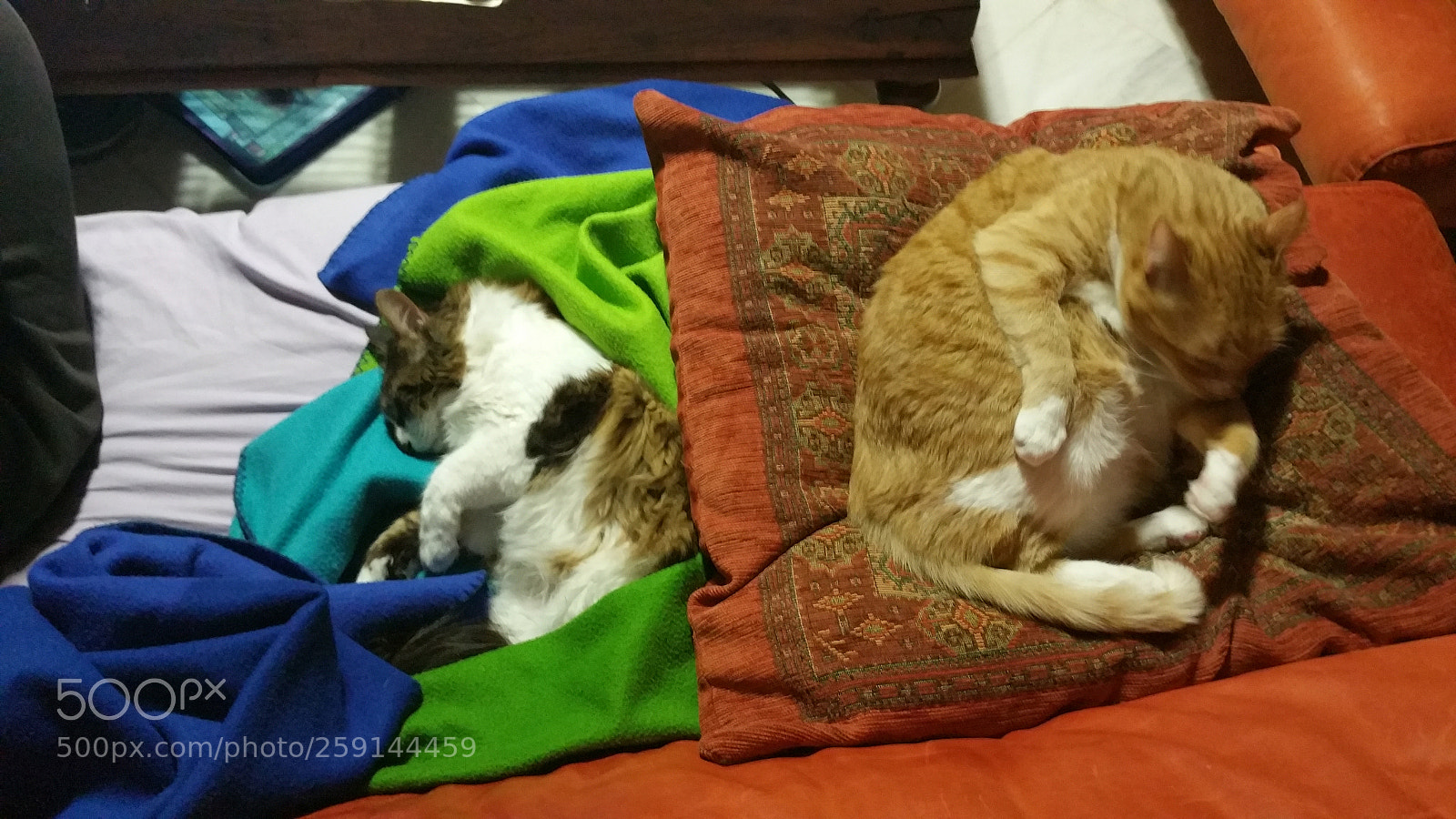Samsung Galaxy Note4 sample photo. Untitled photography