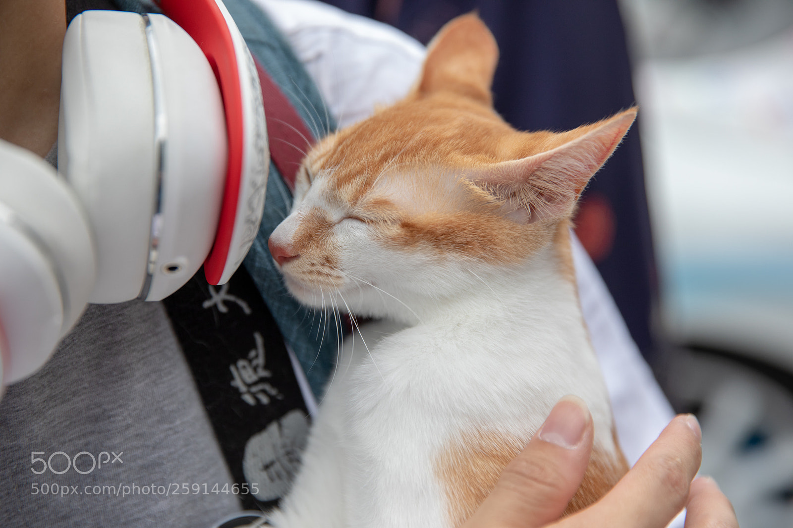 Canon EOS 5D Mark IV sample photo. 阿达 photography
