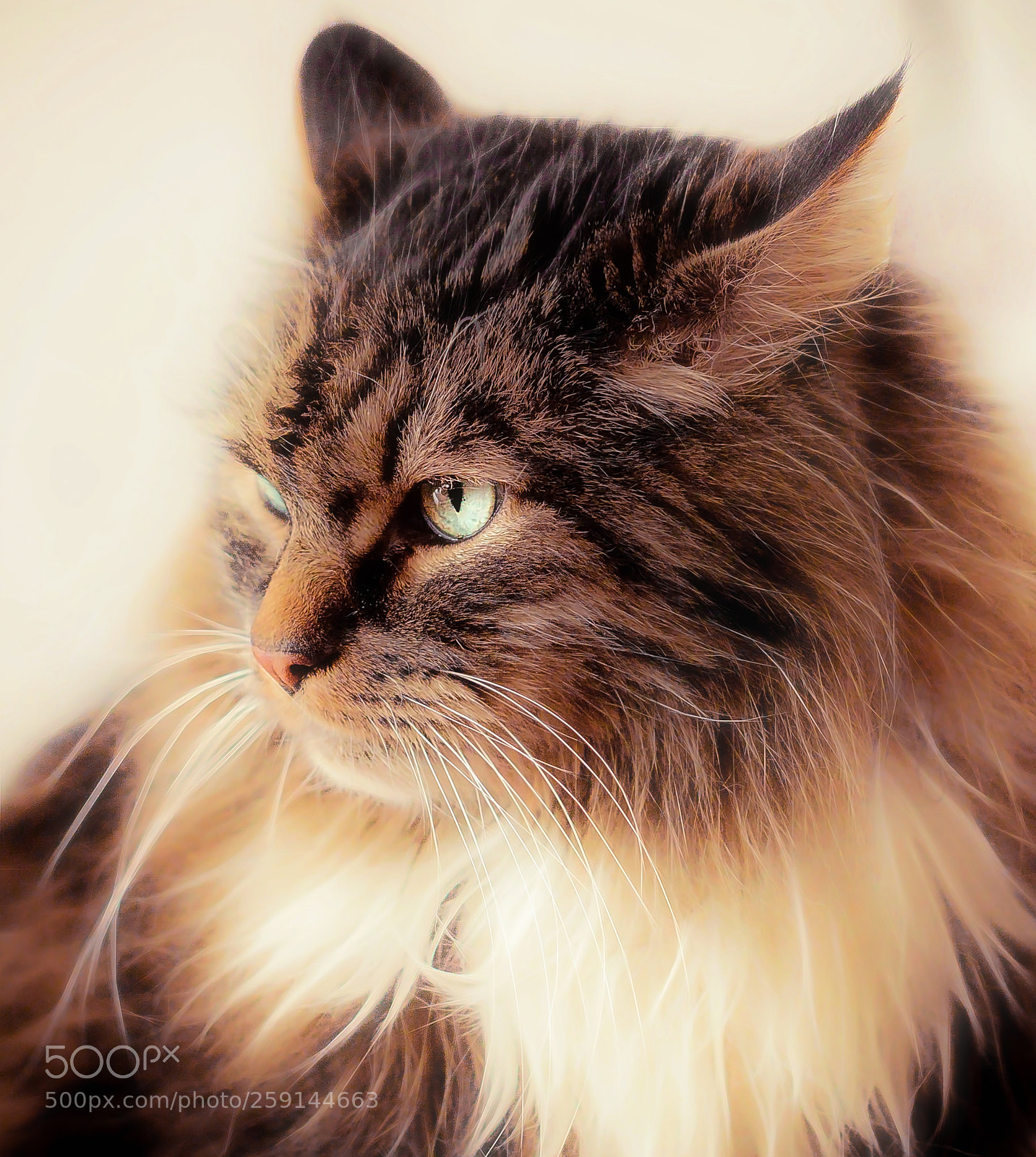 Canon EOS 5DS R sample photo. Matthew 12:50 photography