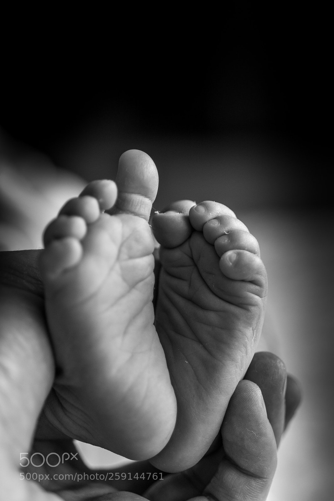 Nikon D7100 sample photo. Feets of a dream photography