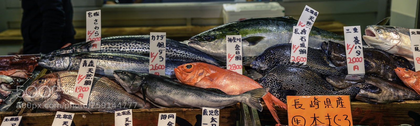 Nikon D7100 sample photo. Tsukiji market fishes photography