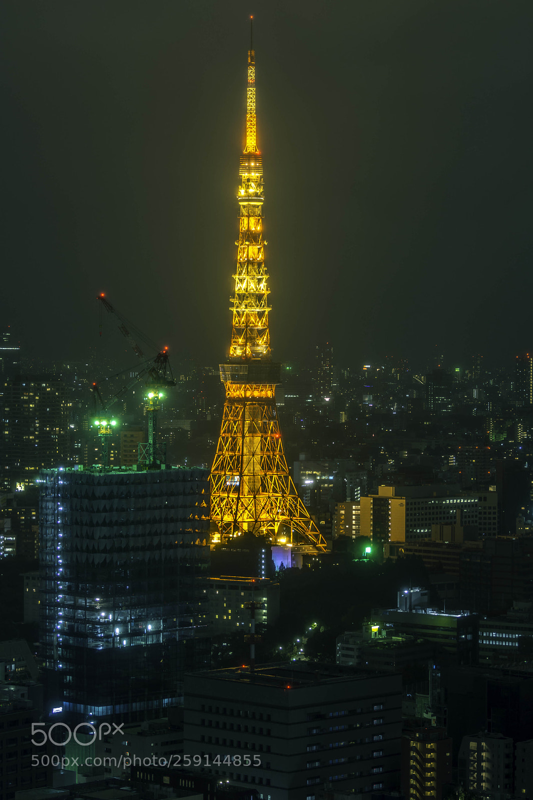 Nikon D7100 sample photo. Tokio tower photography