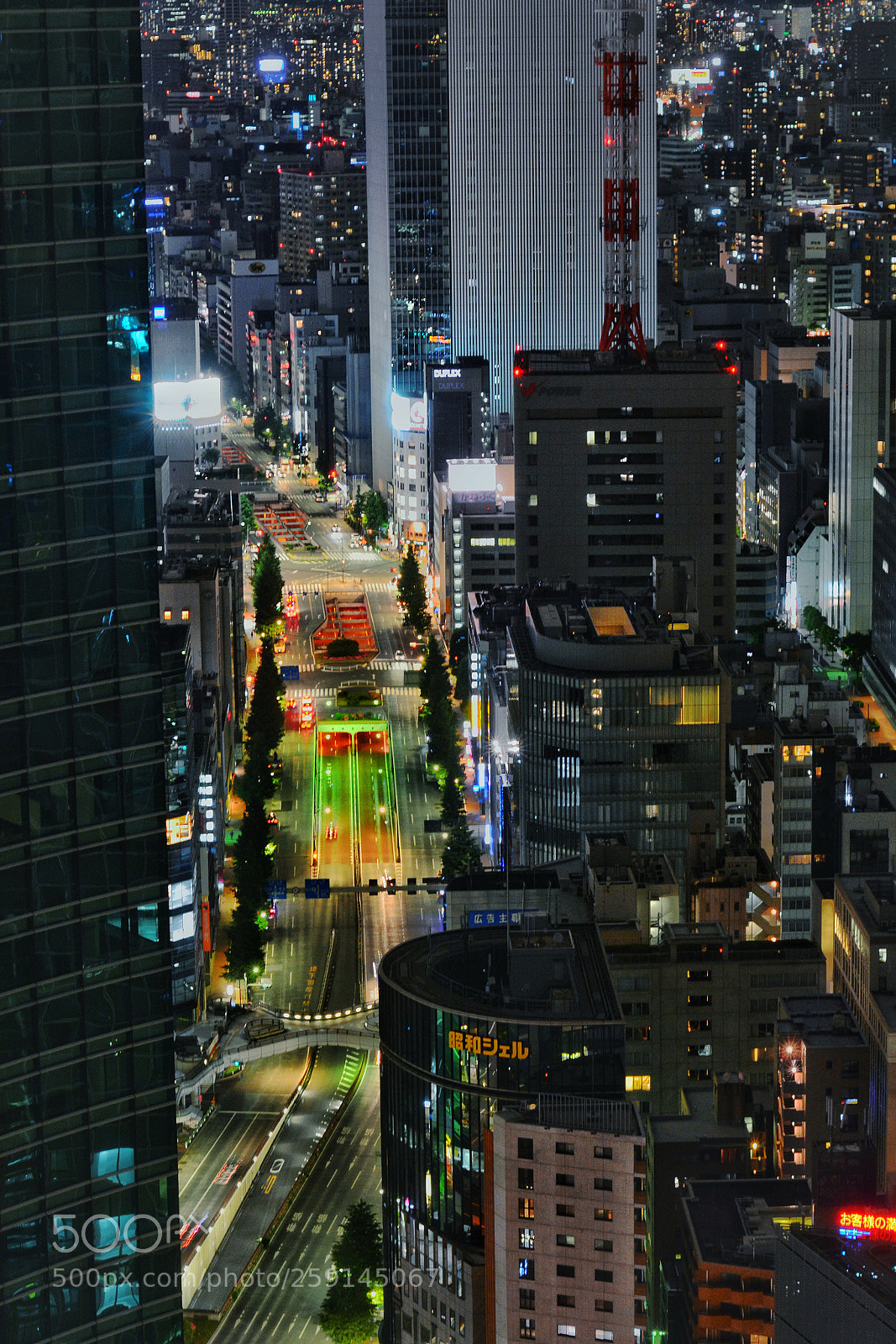 Nikon D7100 sample photo. Tokio street photography