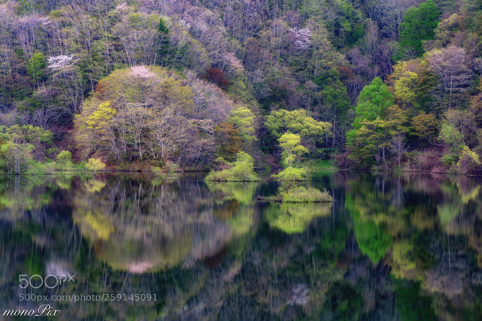 Sony a7R III sample photo. Spring colors photography