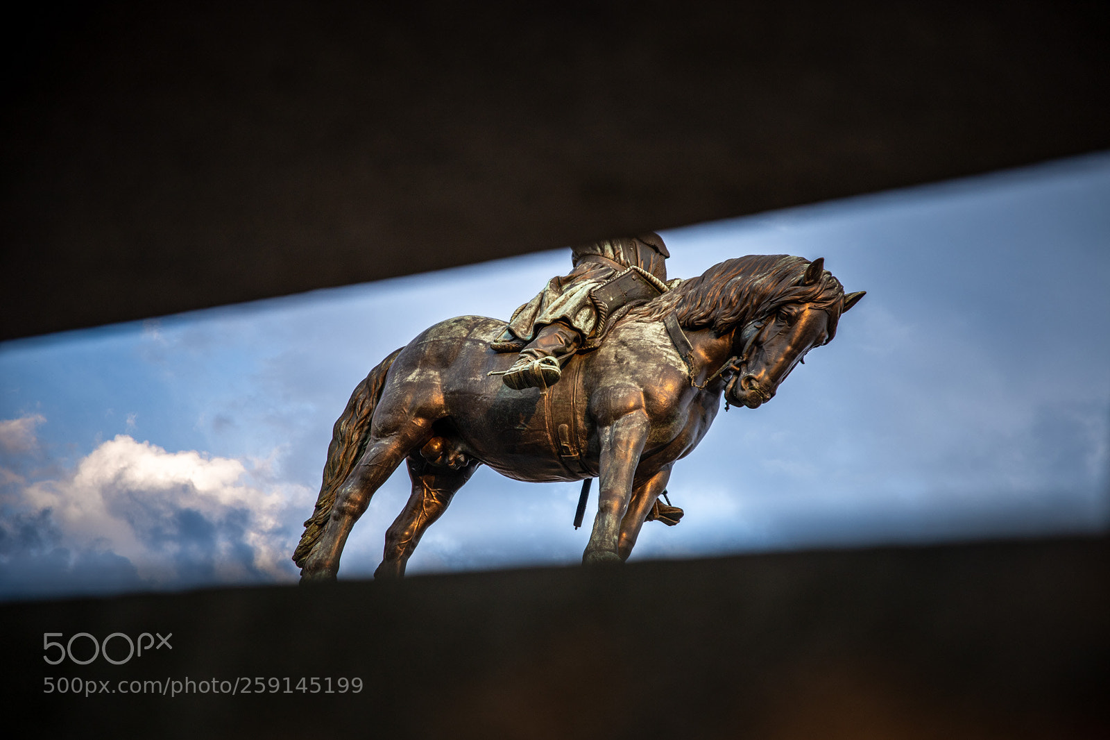 Canon EOS 6D Mark II sample photo. Only a horse photography