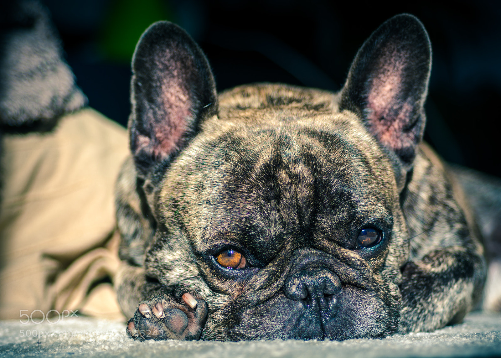 Nikon D7100 sample photo. Riki photography