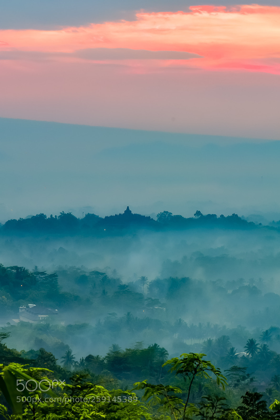 Nikon D810 sample photo. Do you see the photography