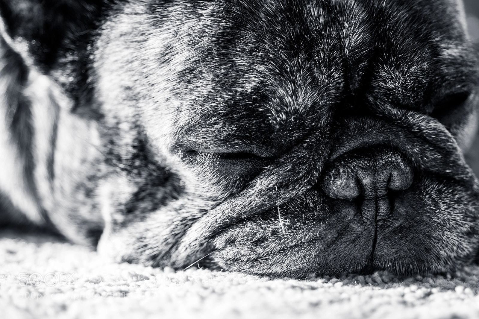 Nikon D7100 sample photo. Portrait photography