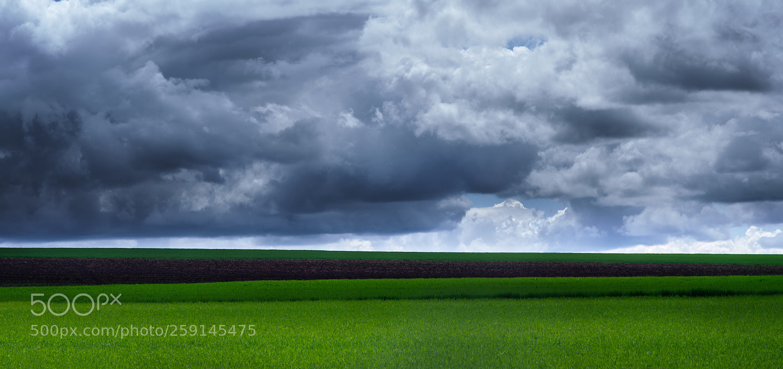 Nikon D500 sample photo. A dramatic scene photography