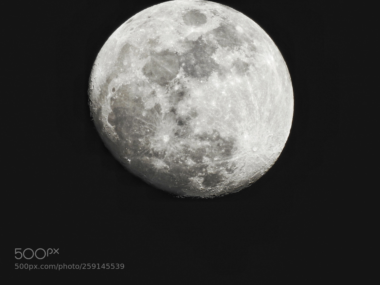 Nikon Coolpix P900 sample photo. Summer moon photography