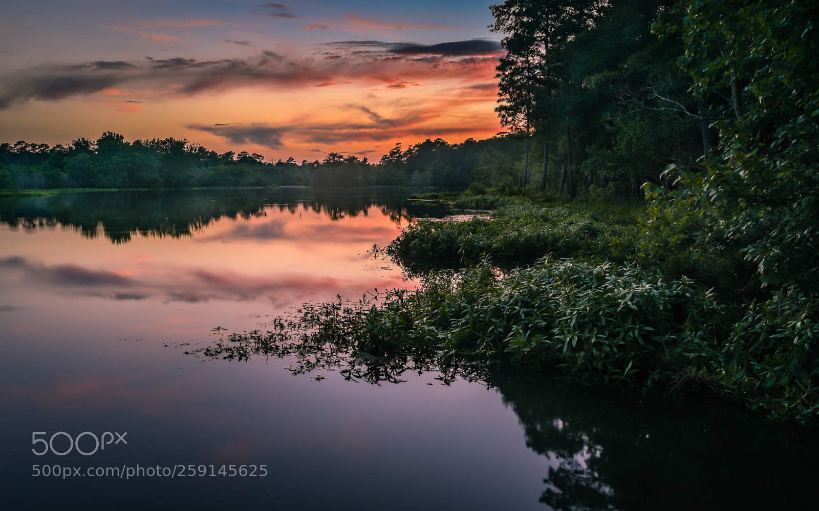 Nikon D750 sample photo. Summer sunset photography