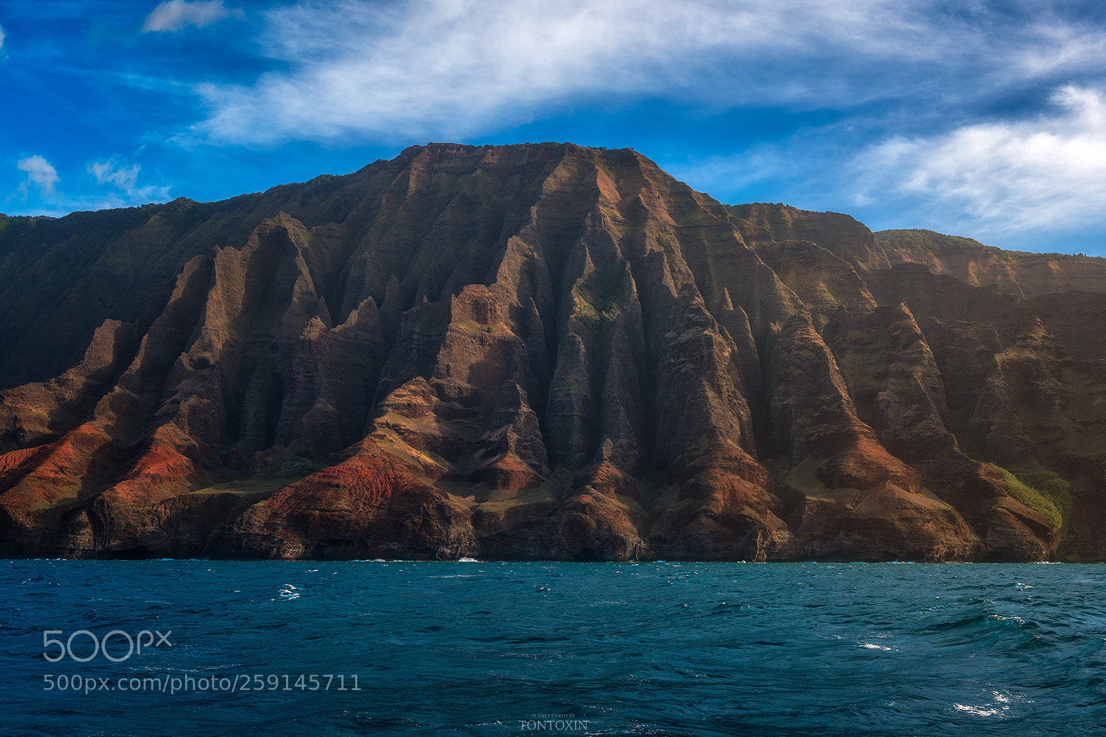 Nikon D810 sample photo. Pacific ridge photography