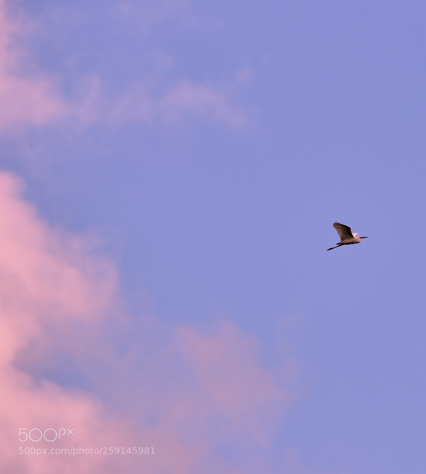 Canon EOS-1D X Mark II sample photo. 05-23-18-0019298.jpg photography