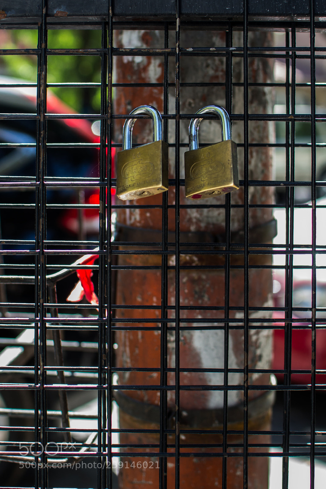 Nikon D3100 sample photo. Locks photography