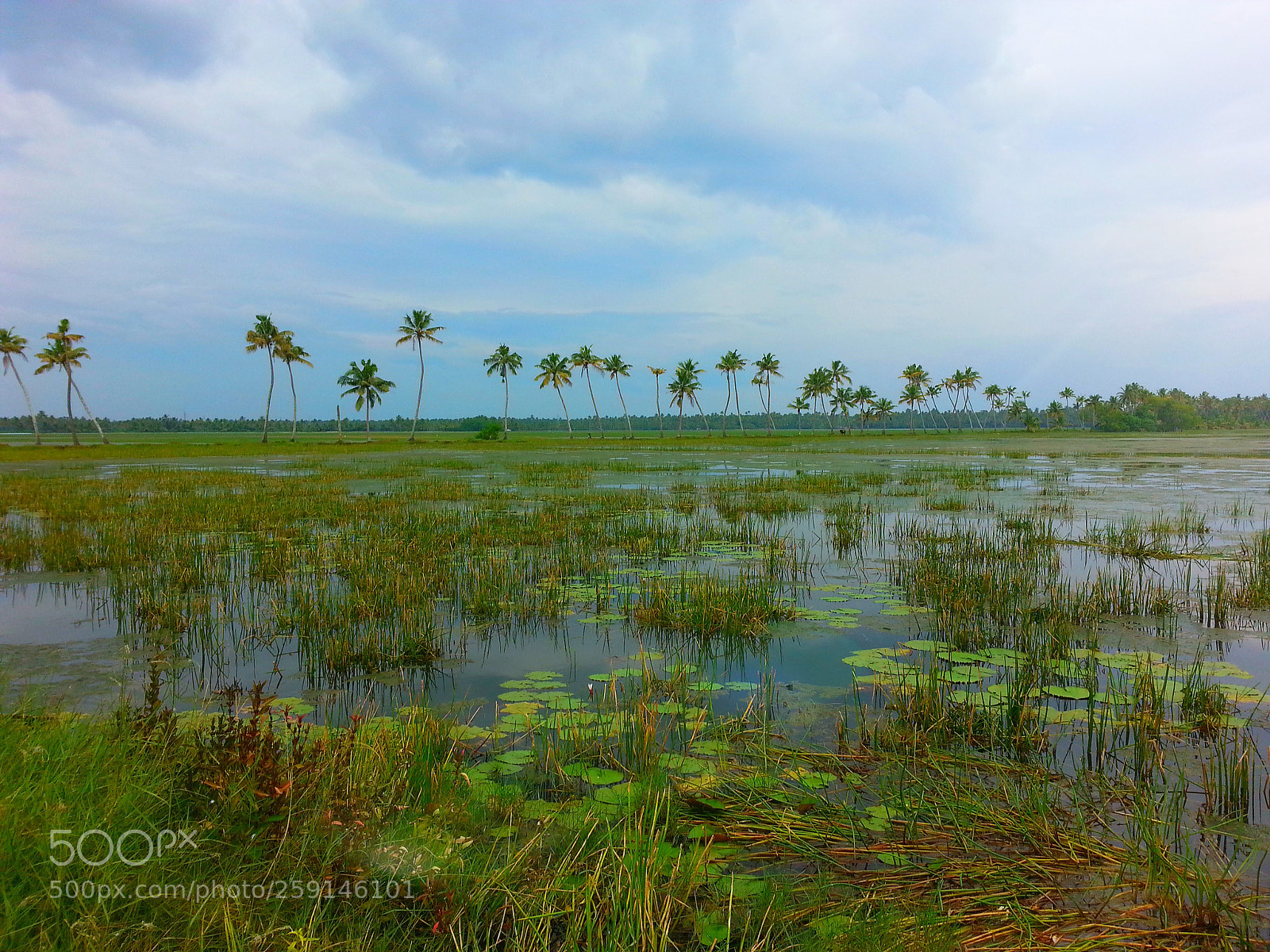 Samsung Galaxy S3 sample photo. Backwater view photography