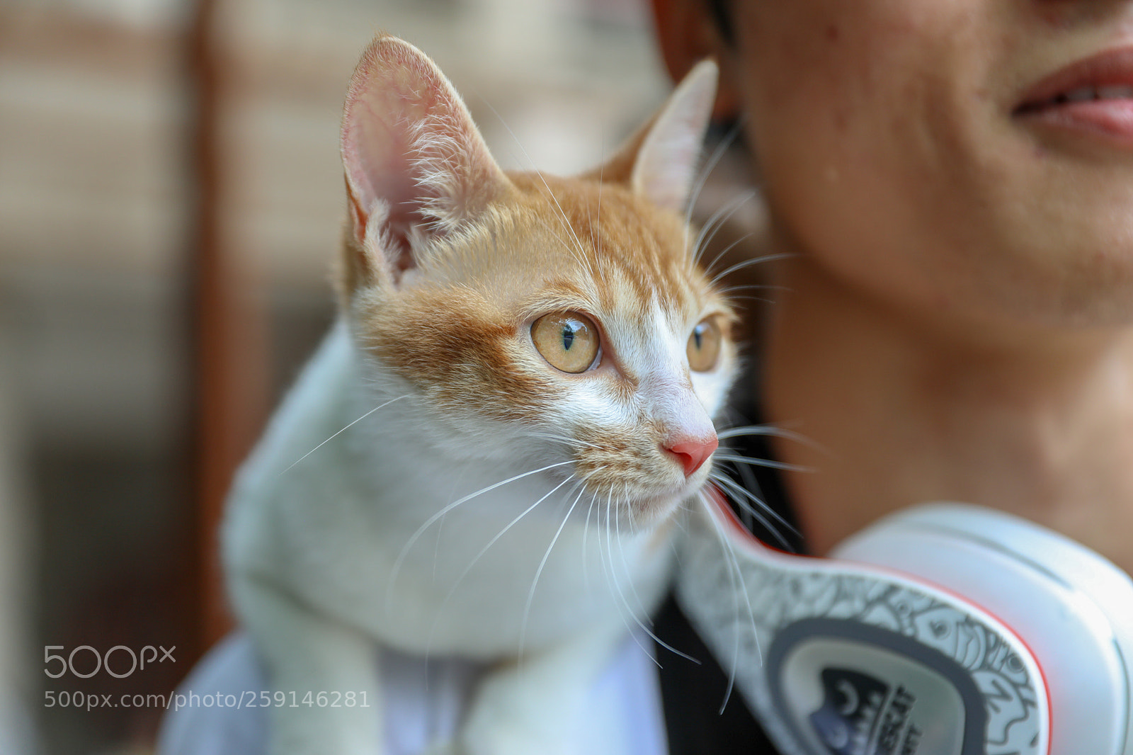 Canon EOS 5D Mark IV sample photo. 阿达 photography