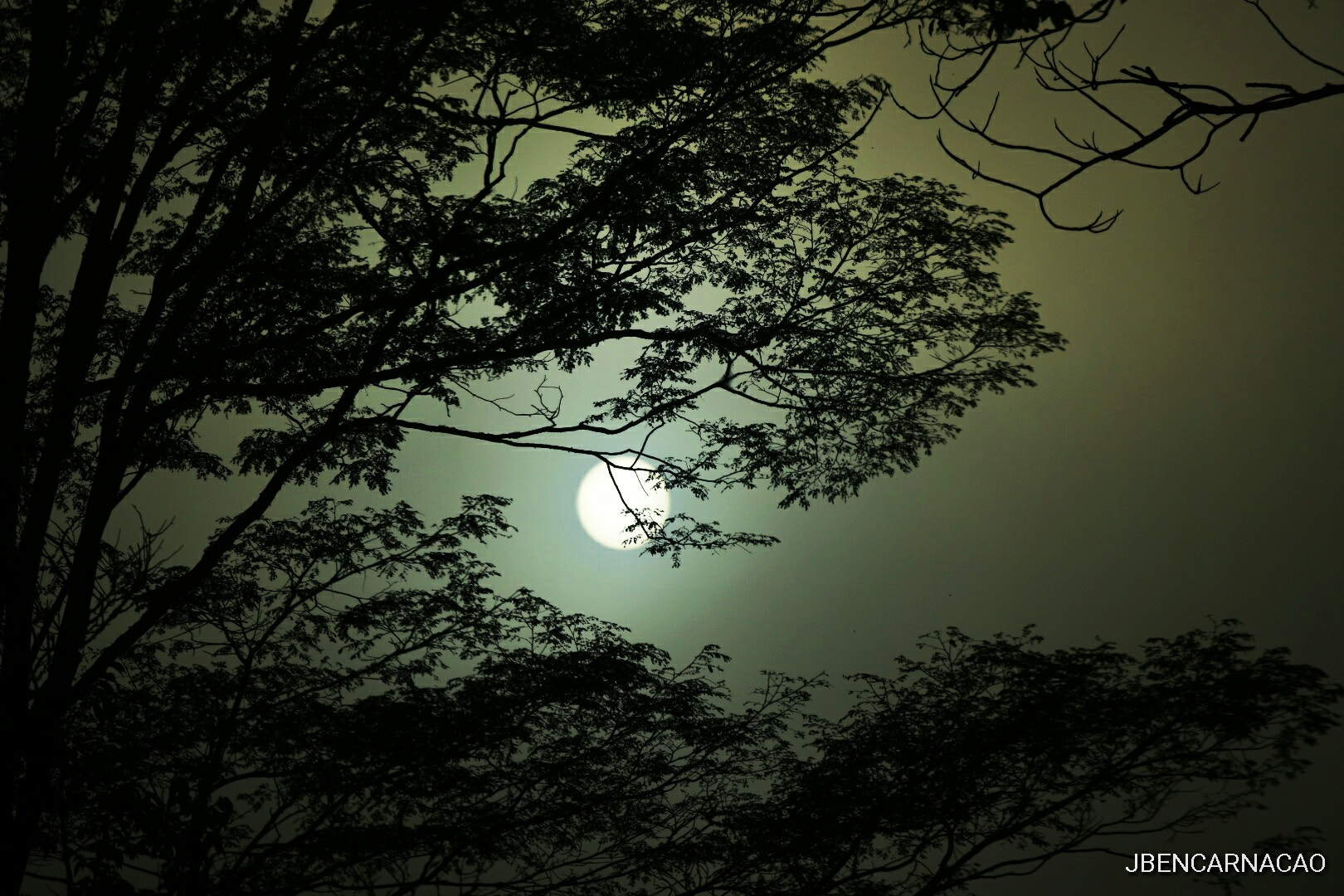 Nikon D5600 sample photo. Cold sun photography