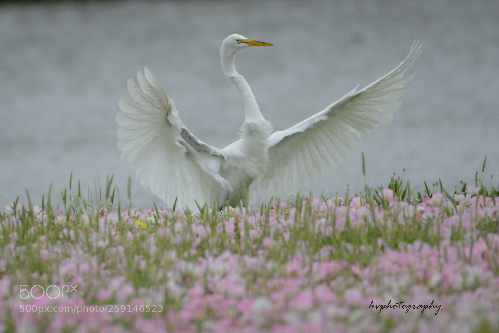 Nikon D800 sample photo. I m ready to photography