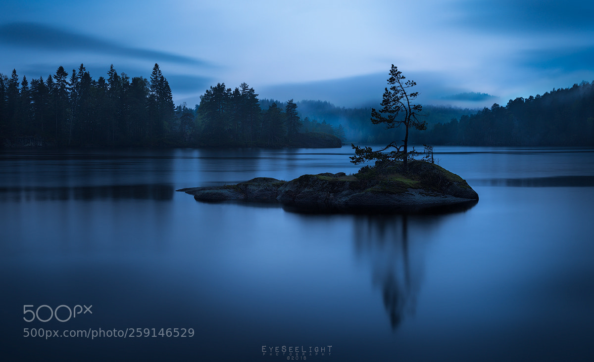Nikon D810 sample photo. Dark spring photography