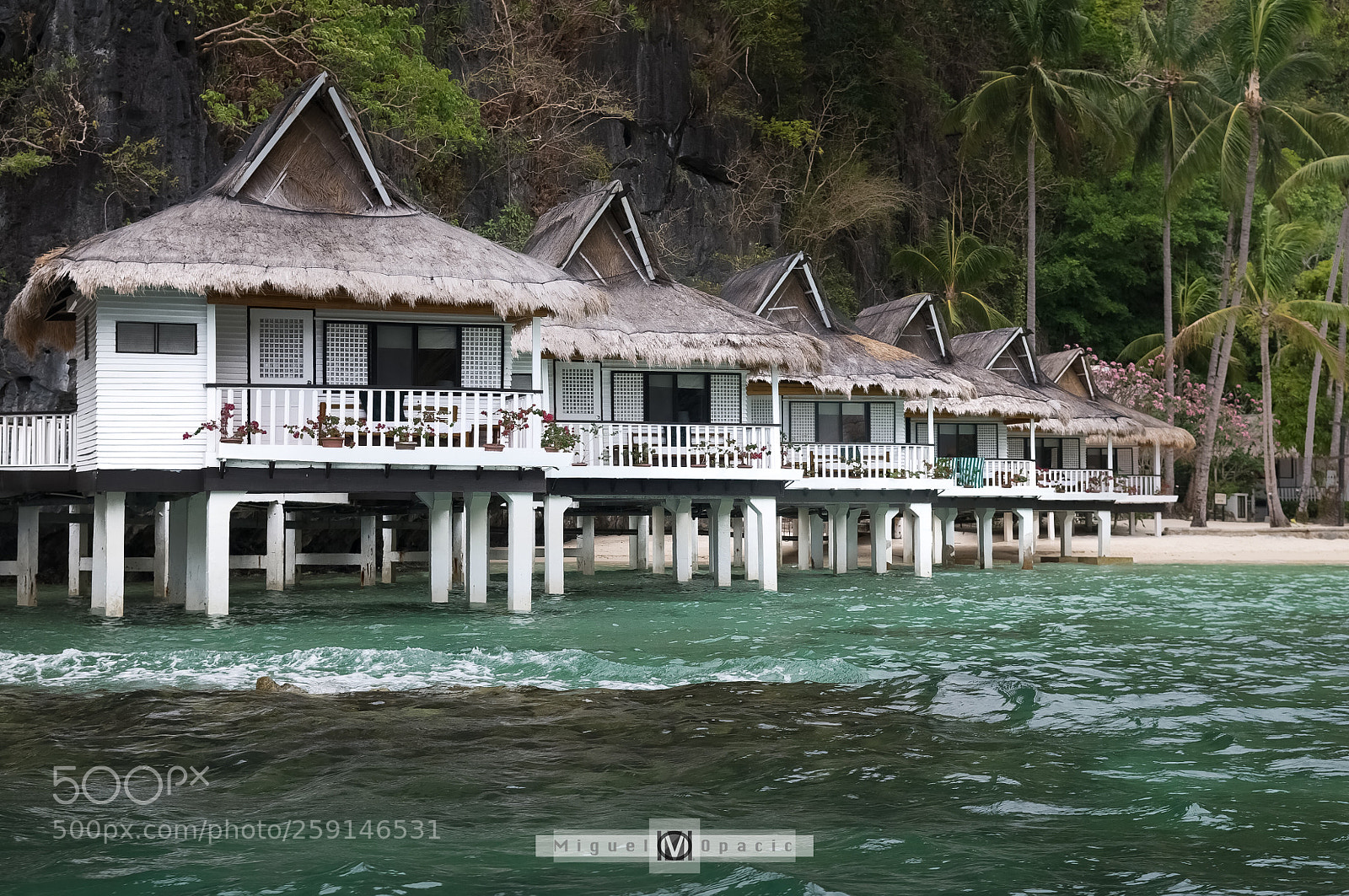 Nikon D300 sample photo. Paradise photography