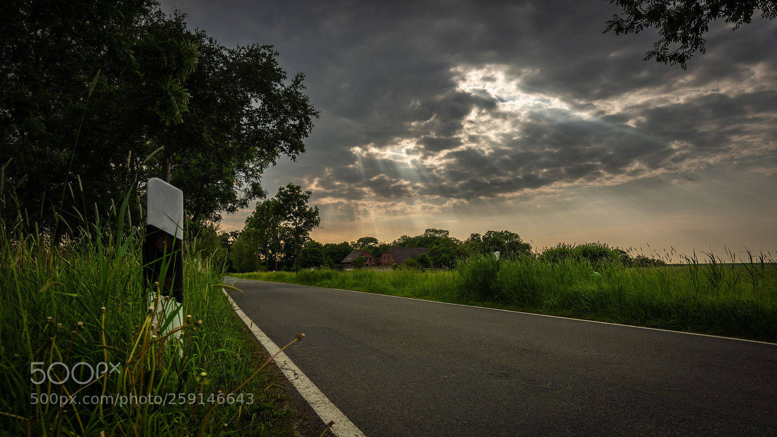 Nikon D810 sample photo. Vanishing overcast photography