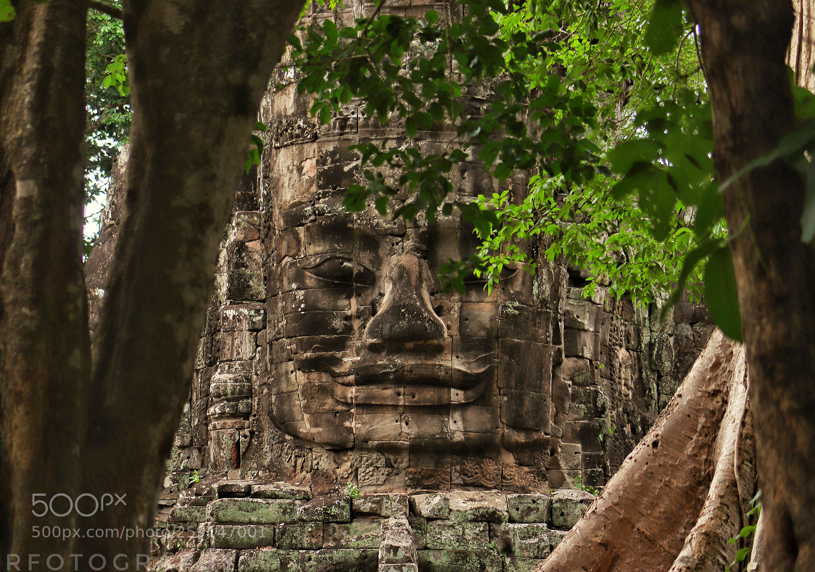 Canon EOS 800D (EOS Rebel T7i / EOS Kiss X9i) sample photo. Hiding place angkor siemreap photography
