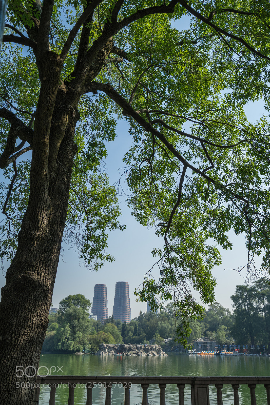 Sony a7 II sample photo. Chapultepec photography
