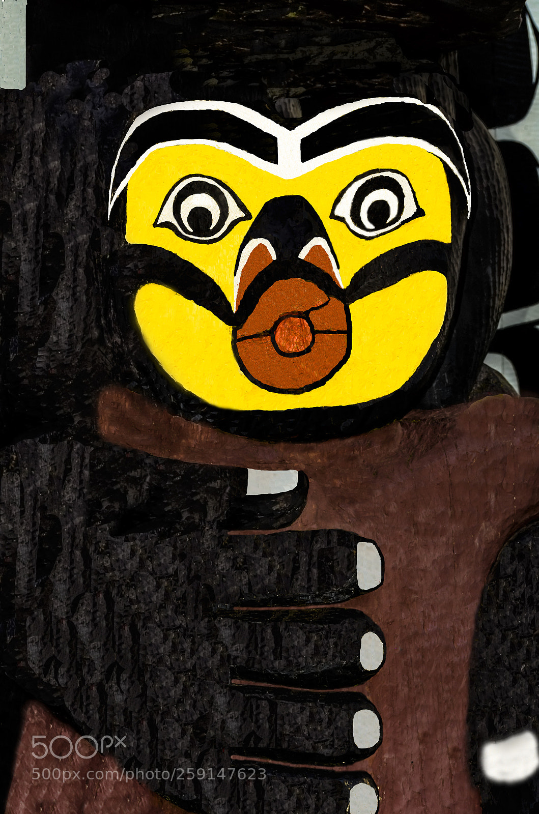 Nikon D5100 sample photo. First nation art deteil photography